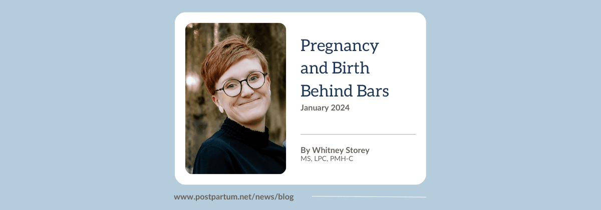 By Whitney Storey, MS, LPC, PMH-C