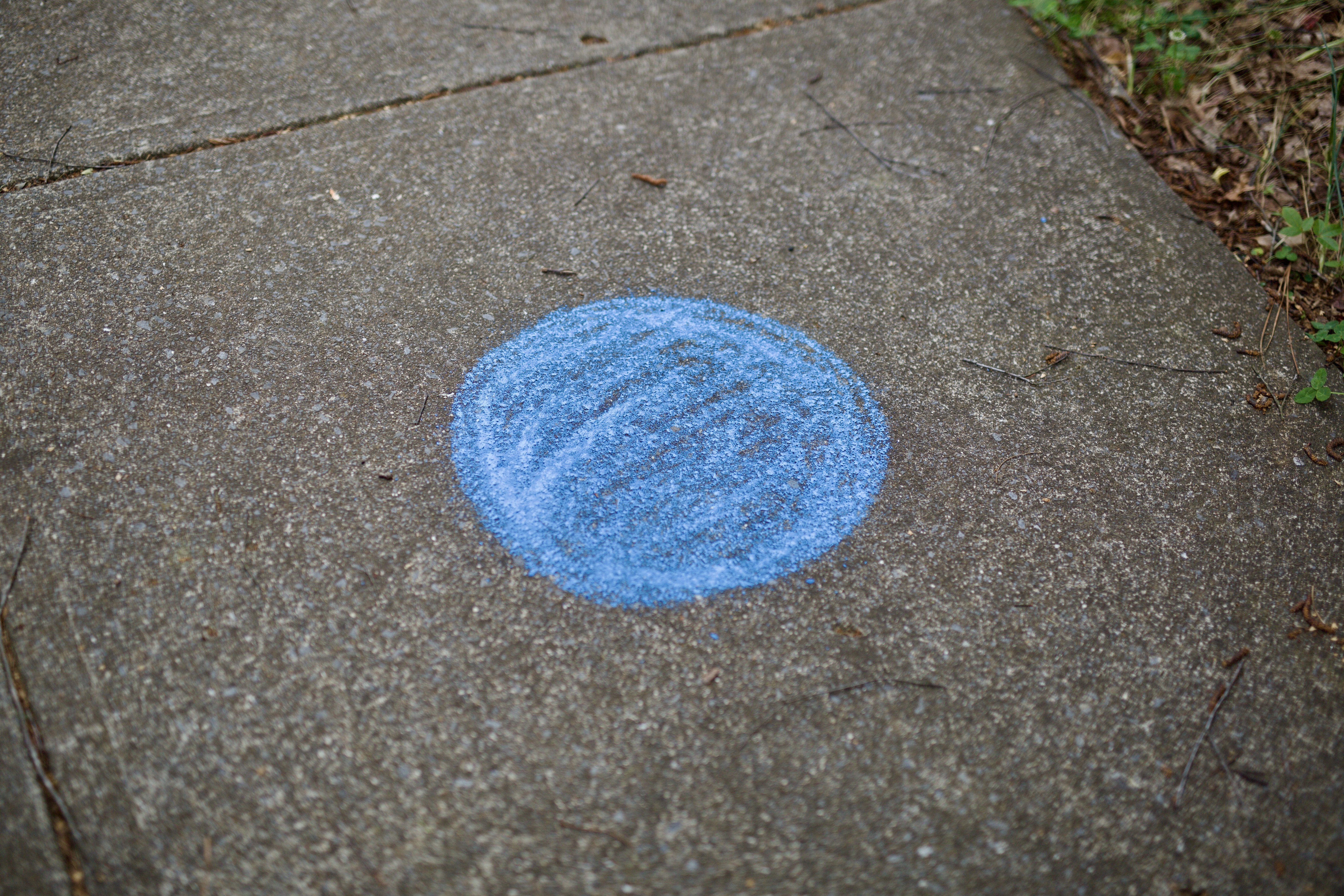 Blue dot spotted in the wild