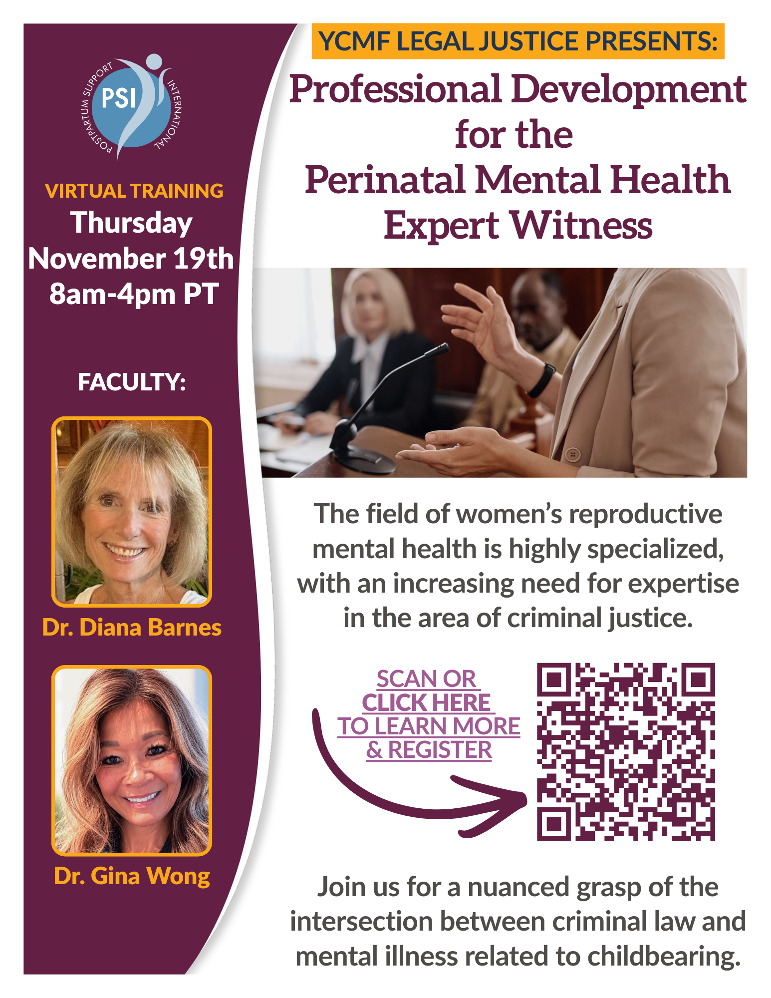 Professional Development for the Perinatal Mental Health Expert Witness